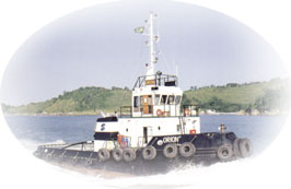 barco_orion.jpg